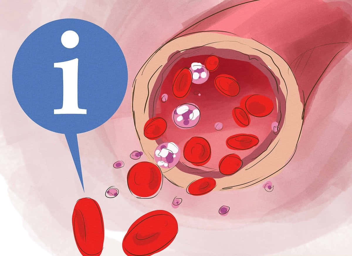 red blood cells, white blood cells, vein, SD Desktop Wallpaper