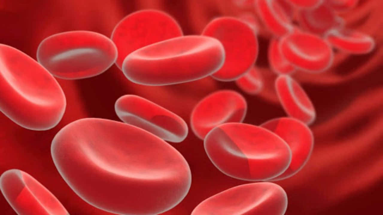 red blood cells, glowing crimson vessel, microscopic biological scene, HD Desktop Wallpaper