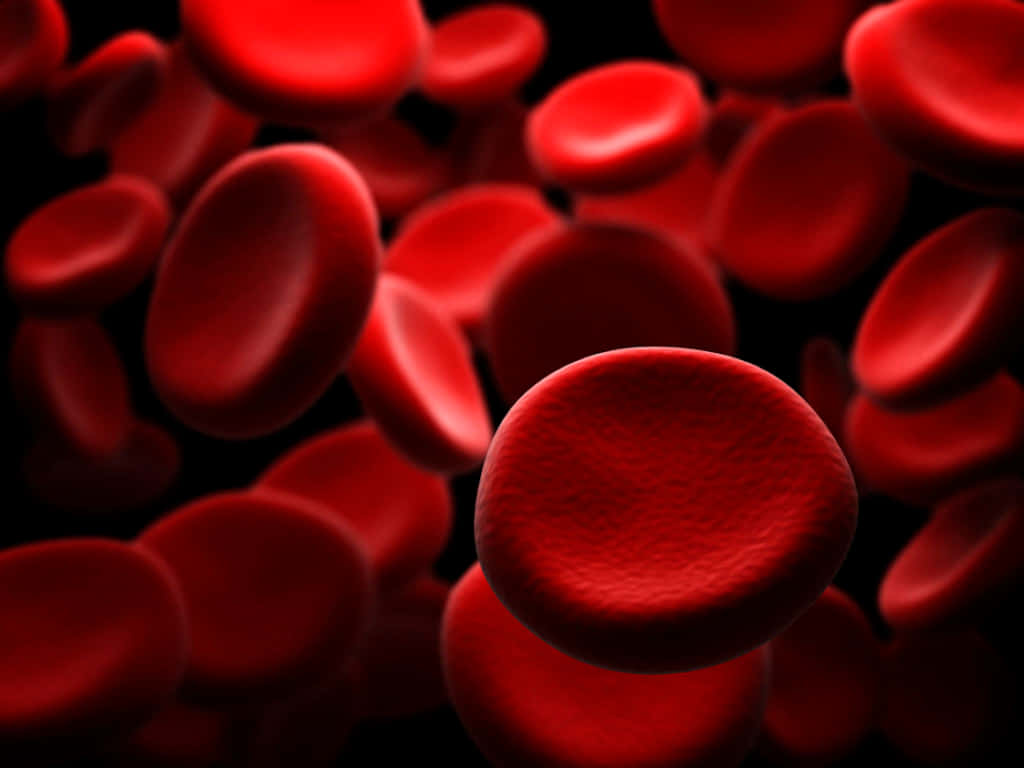red blood cells, biconcave discs, dark space, SD Desktop Wallpaper