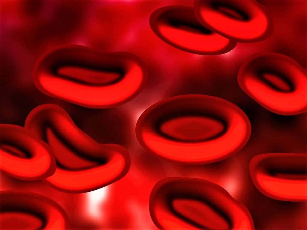 red blood cells, glowing crimson fluid, microscopic view, SD Desktop Wallpaper
