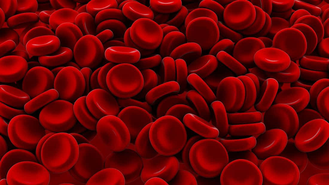 red blood cells, vibrant red, glossy surfaces, SD Desktop Wallpaper