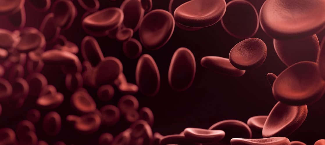 red blood cells, dark vascular tunnel, soft lighting, SD Desktop Wallpaper