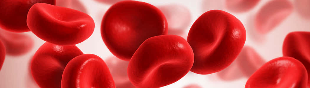 red blood cells, glossy surfaces, soft-focus light, SD Desktop Wallpaper