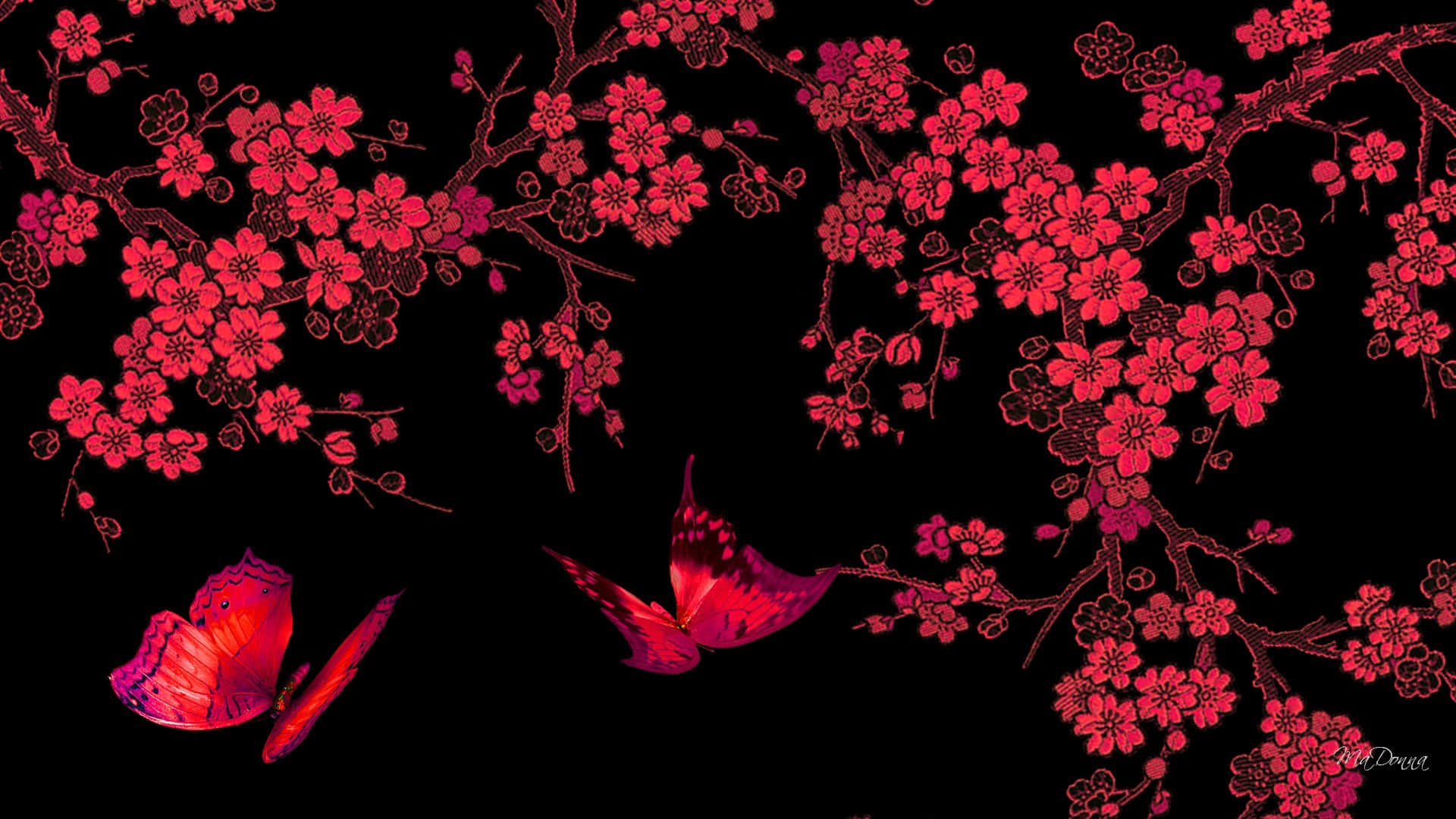 Red Butterfly, cherry blossoms, butterflies, Full HD Desktop Wallpaper
