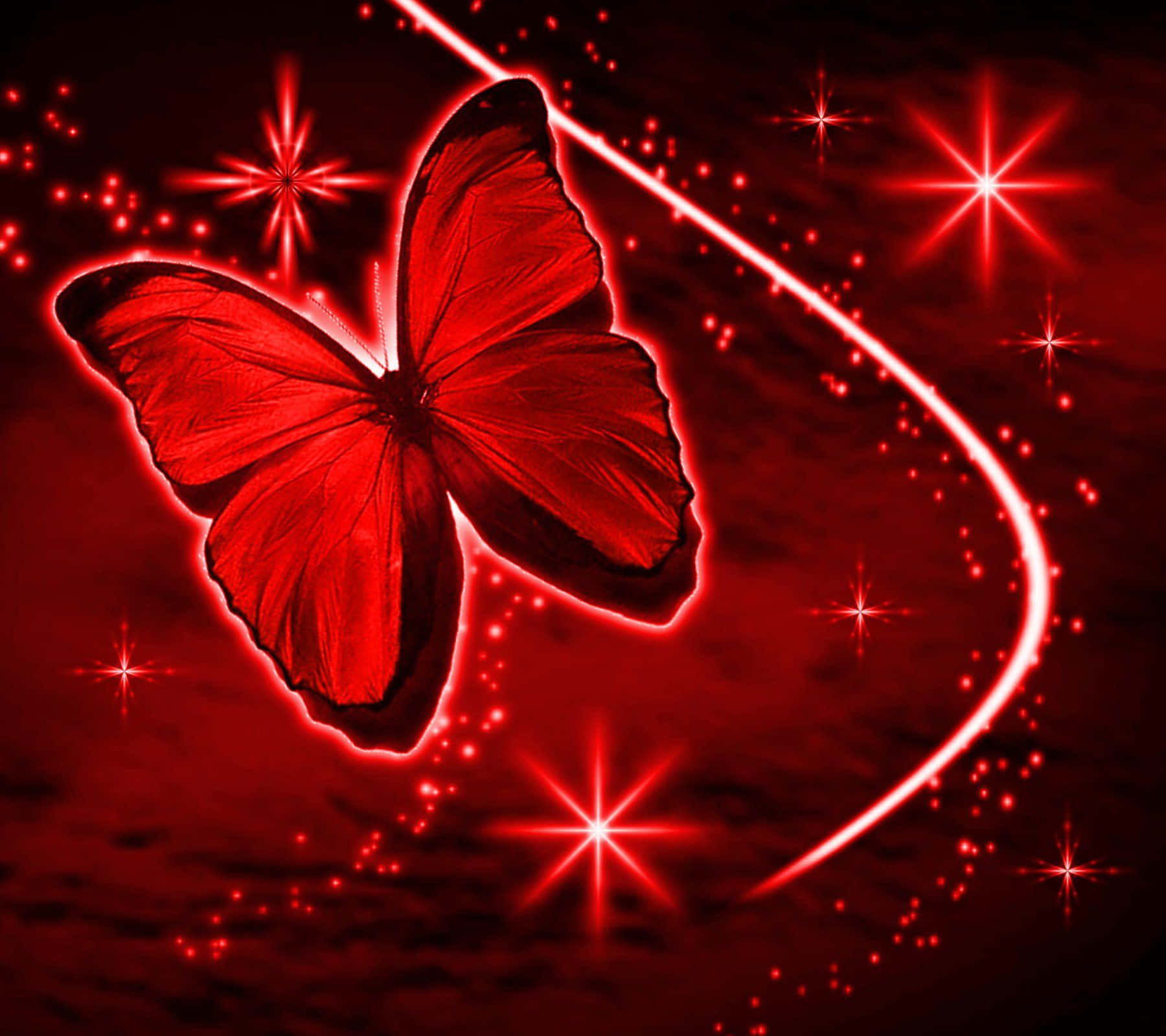Red Butterfly, glowing red butterfly, intricate wings, HD Desktop Wallpaper