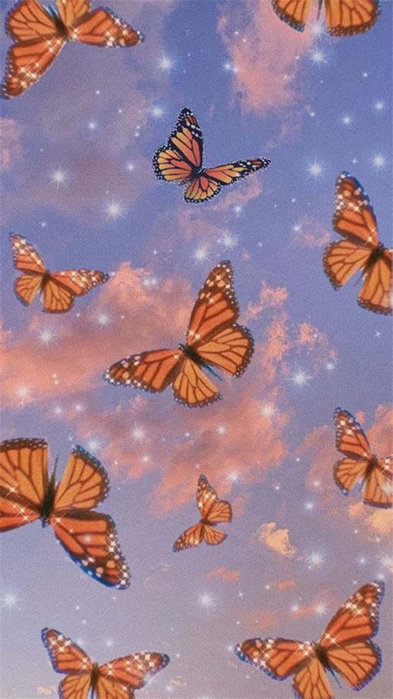 Red Butterfly, Monarch butterflies, twilight sky, HD Phone Wallpaper