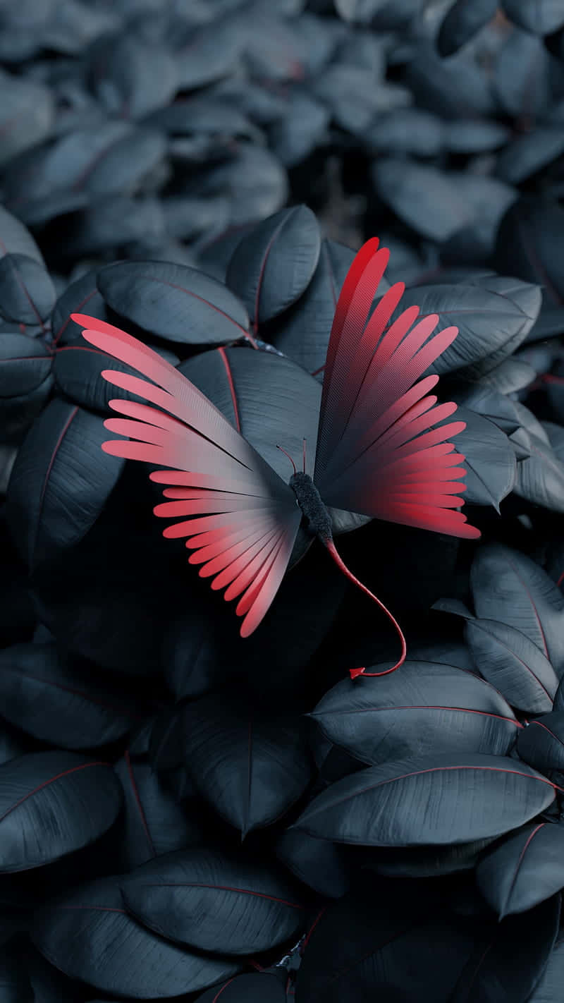 red butterfly, vibrant red, pink butterfly, HD Phone Wallpaper
