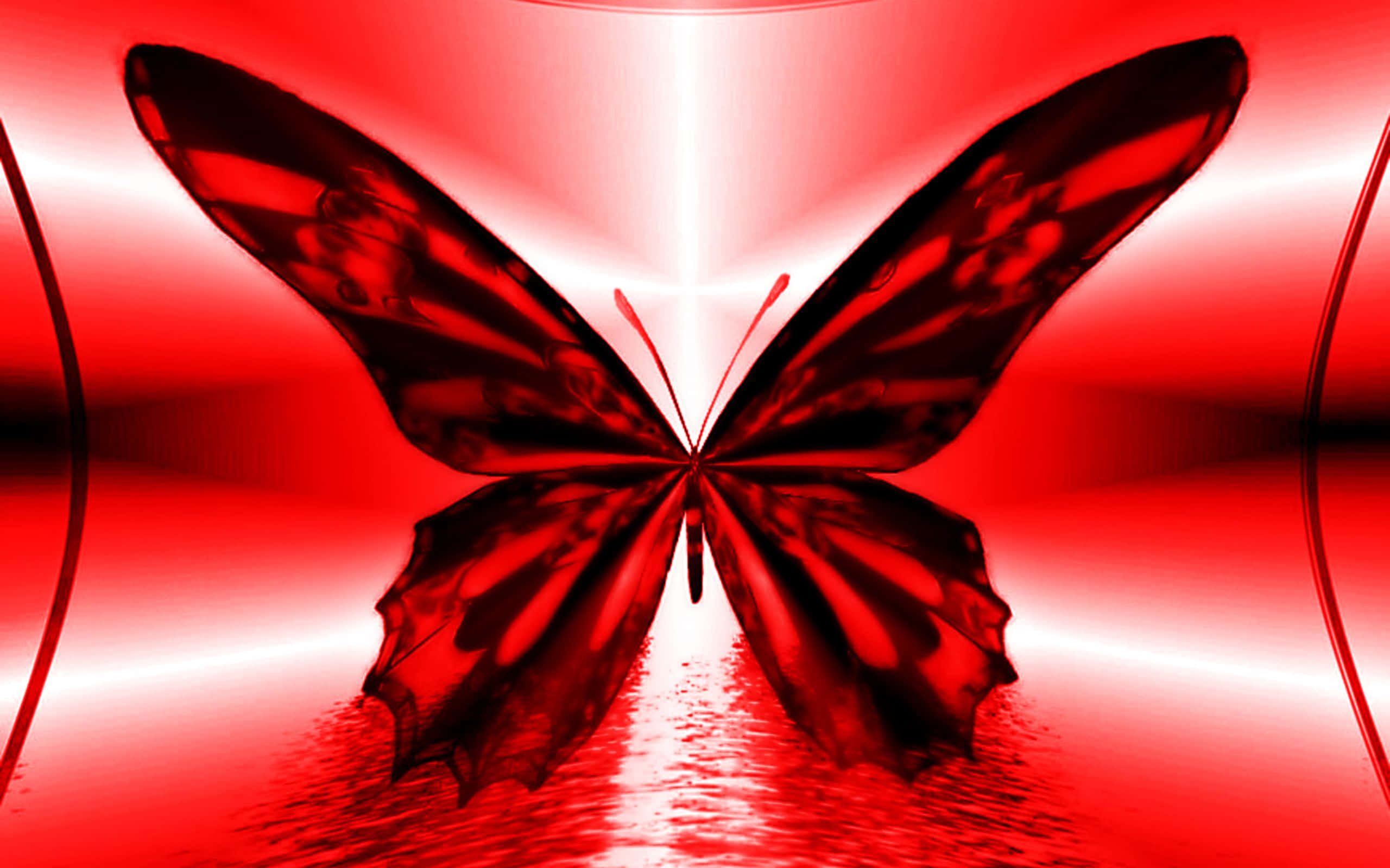 Red Butterfly, glossy red butterfly, intricate wing patterns, 2K Desktop Wallpaper