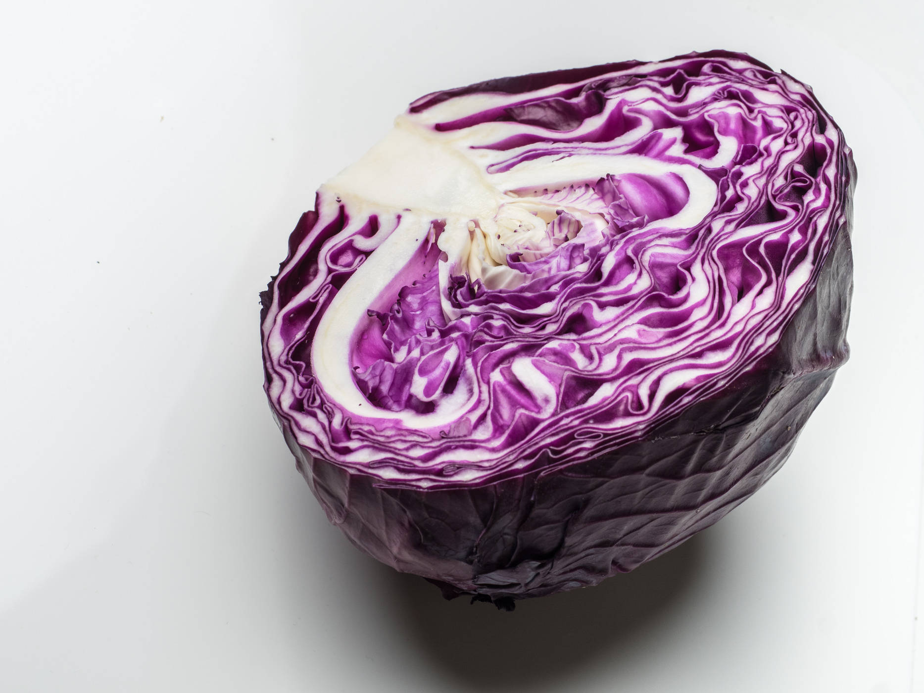 half cut red cabbage, cross section, deep purple, HD Desktop Wallpaper