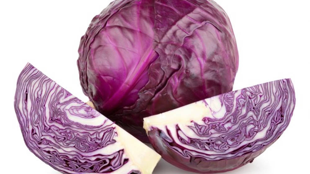 red cabbage, purple and white layered patterns, stark white background, SD Desktop Wallpaper