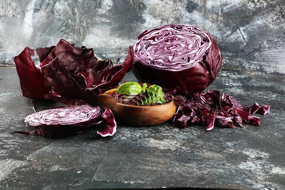 Red Cabbage, vibrant purple leaves, green basil, SD Desktop Wallpaper