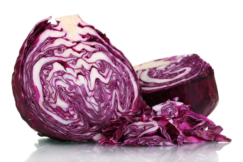 red cabbage, purple and white swirling patterns, clean white background, SD Desktop Wallpaper