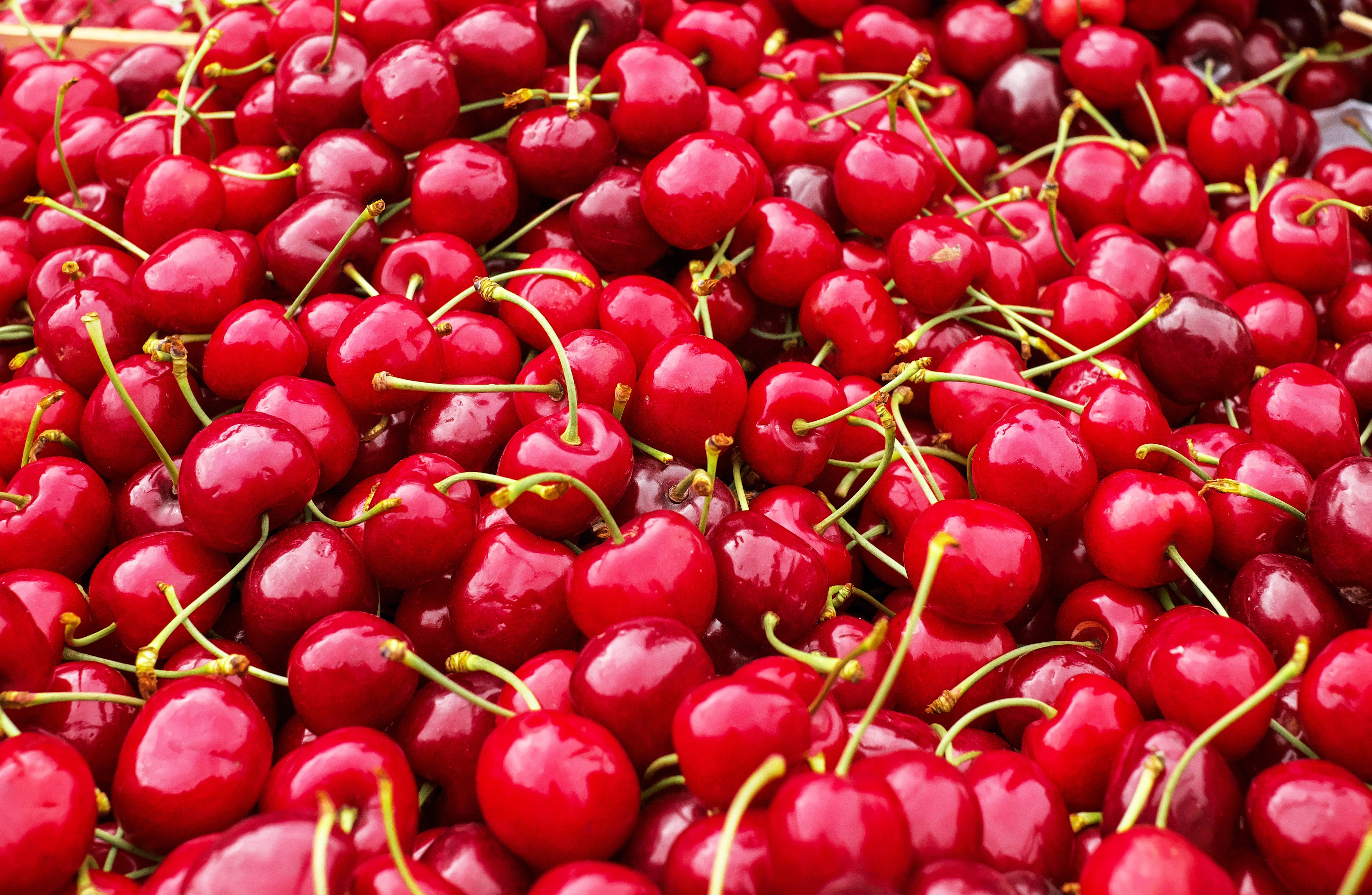 Red Cherries, 4K UHD, glossy red cherries, 4K Desktop Wallpaper