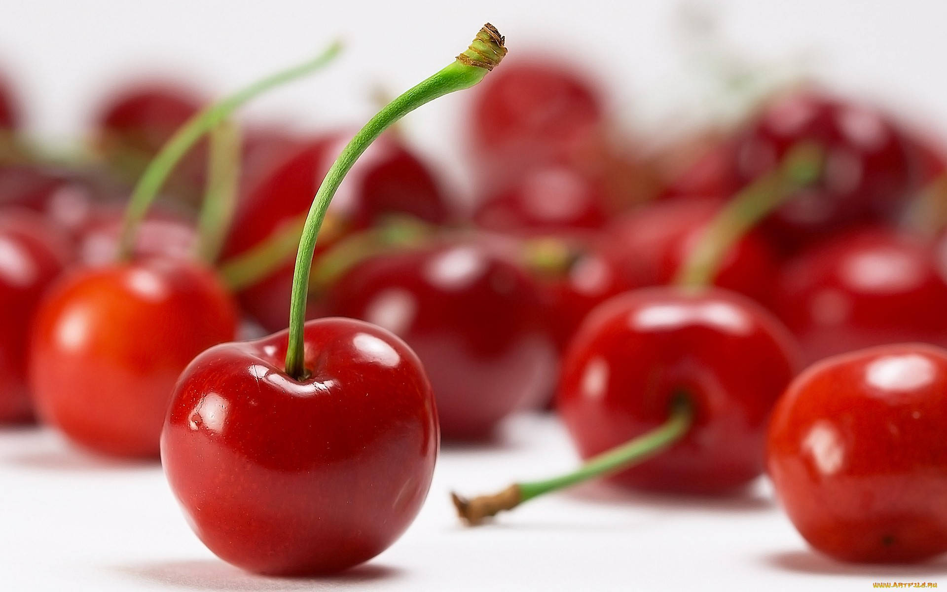 glossy red cherry, green stem, white surface, Full HD Desktop Wallpaper