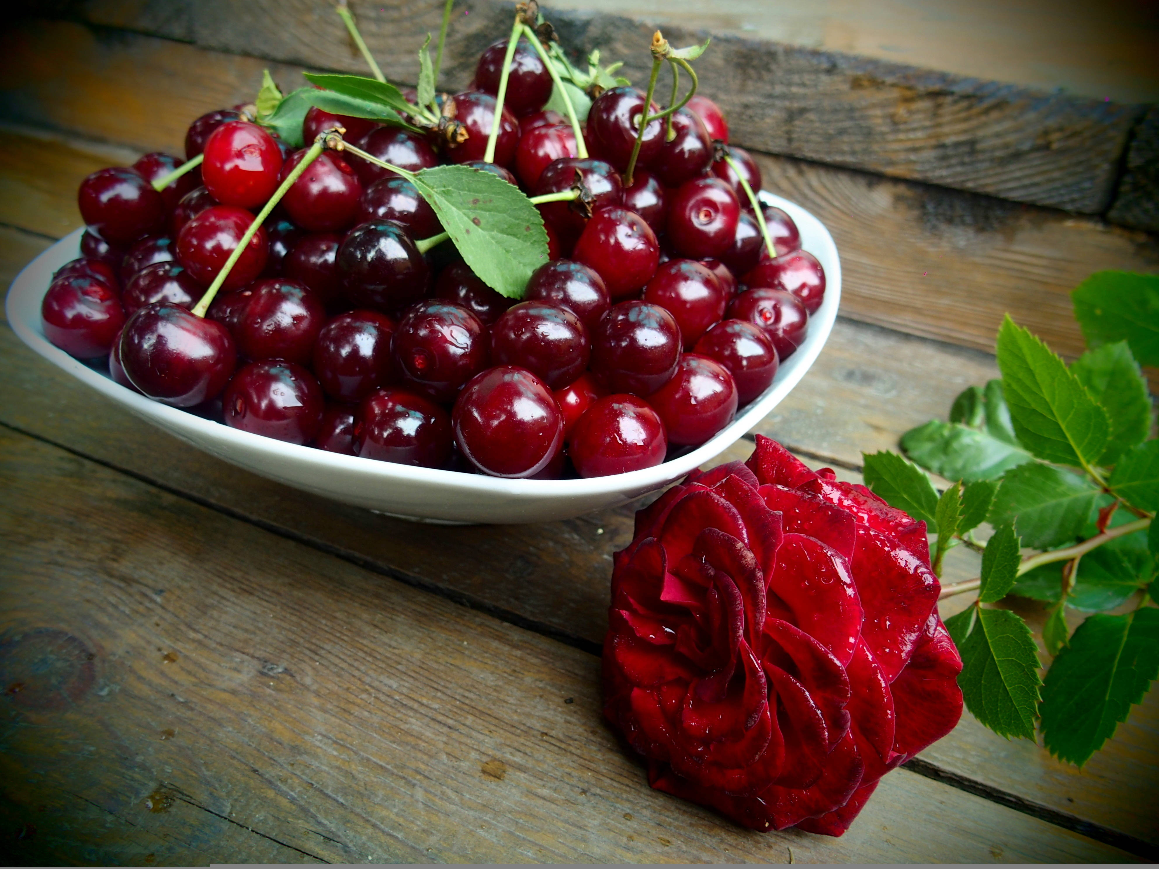Carnation And Cherries, white bowl, glossy red cherries, 4K Desktop Wallpaper