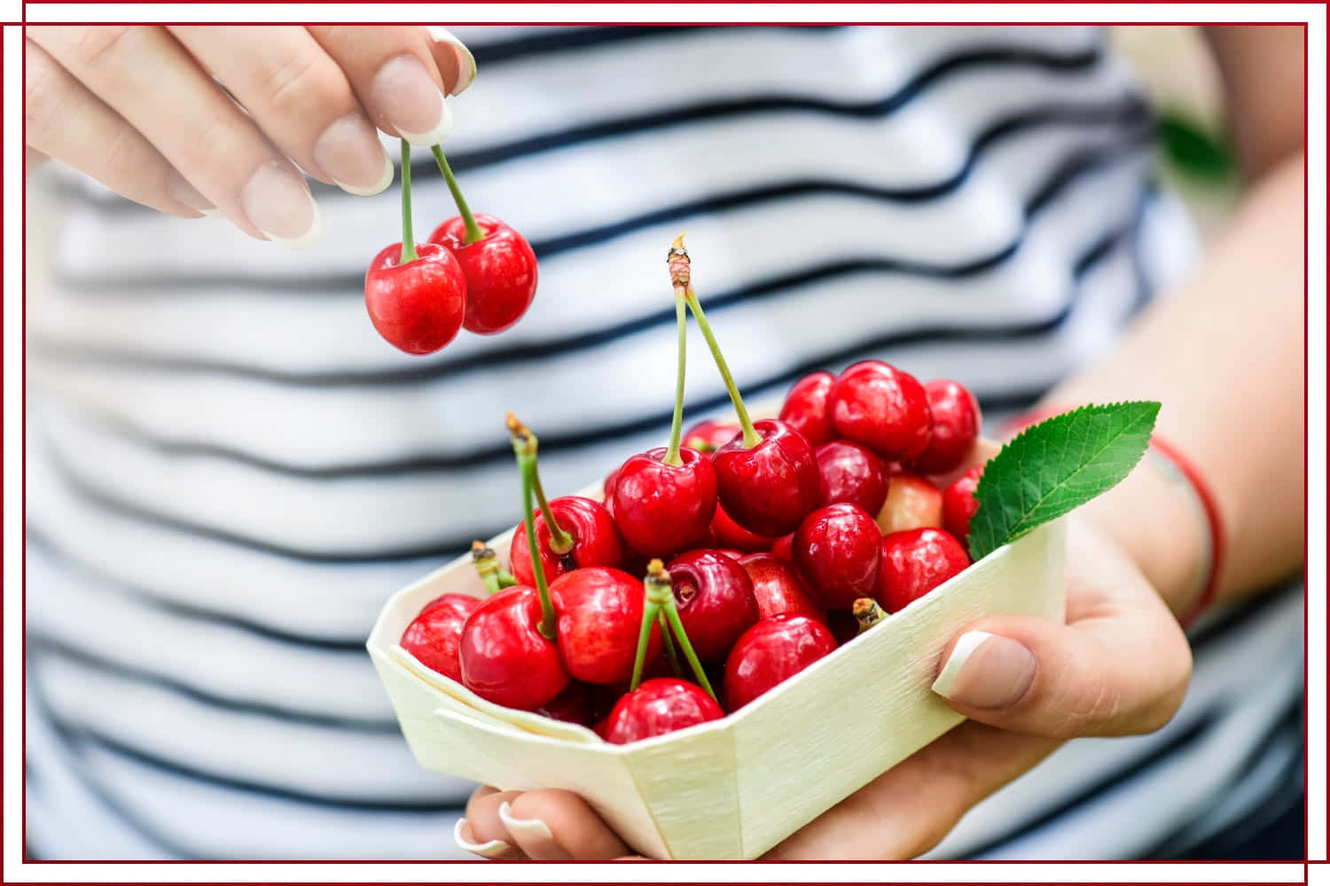 Red Cherries, glossy red cherries, basket, HD Desktop Wallpaper