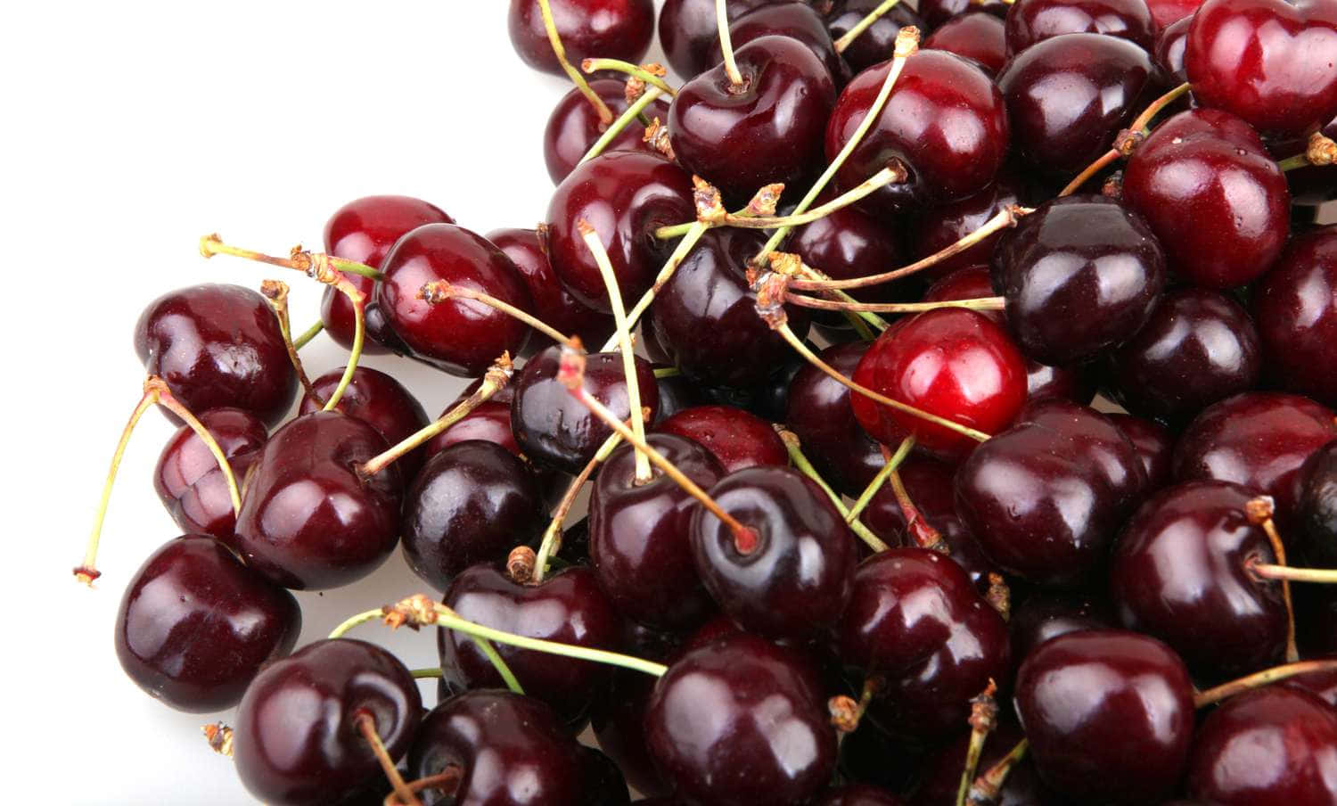 Red Cherries, glossy dark red cherries, green stems, HD Desktop Wallpaper