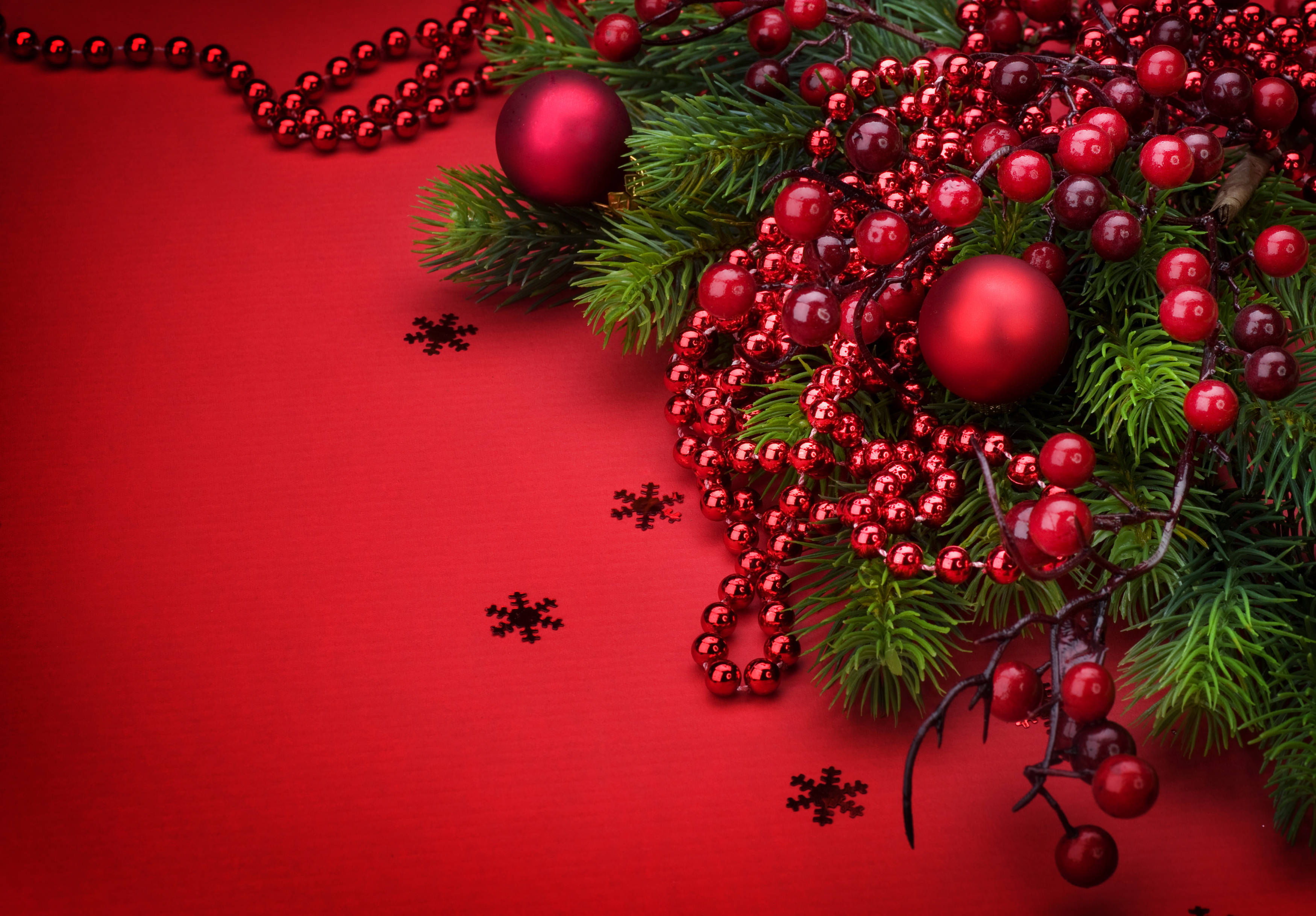 Red Christmas, mistletoe, pine branches, 2K Desktop Wallpaper