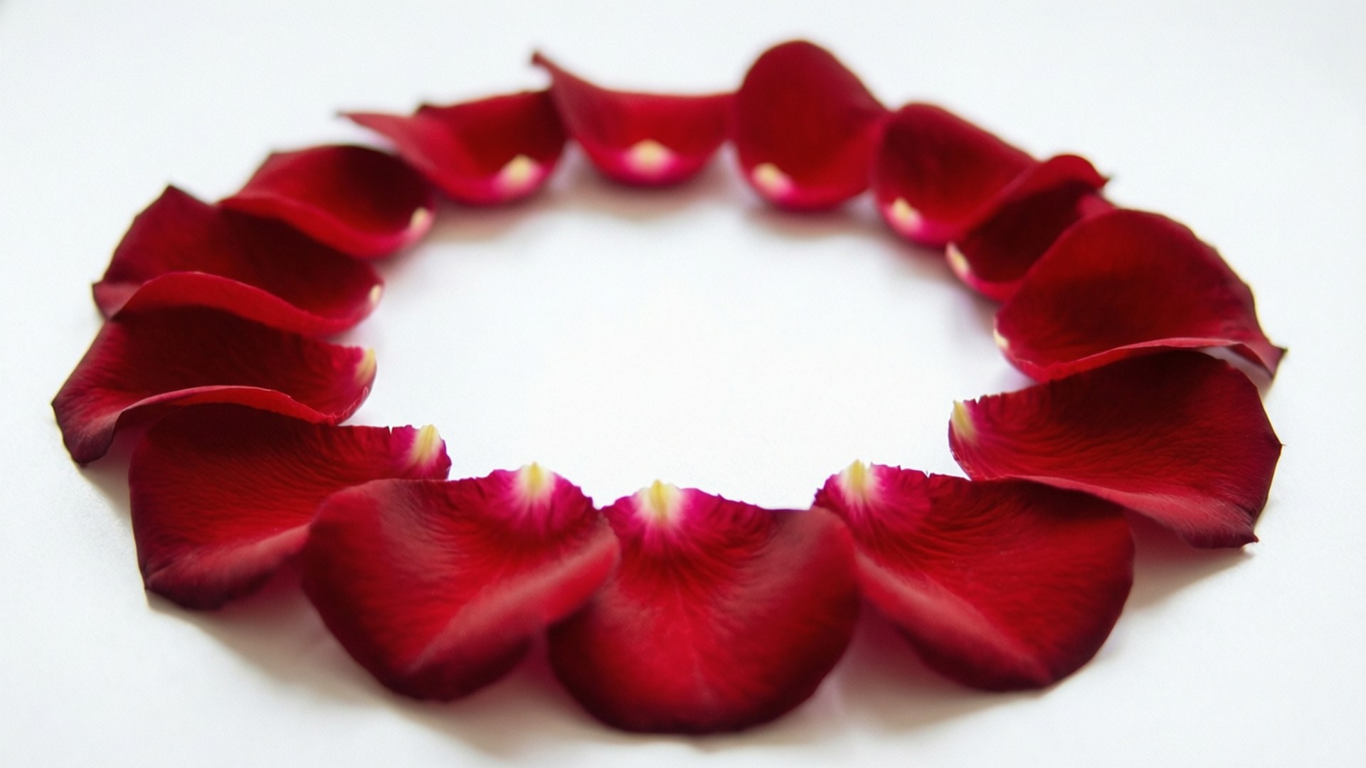 rose petal, deep red, circle, Full HD Desktop Wallpaper