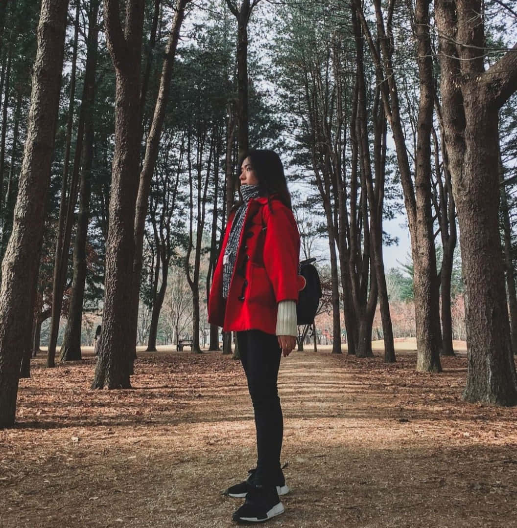 vibrant red coat, forest path, tall pine trees, SD Phone Wallpaper