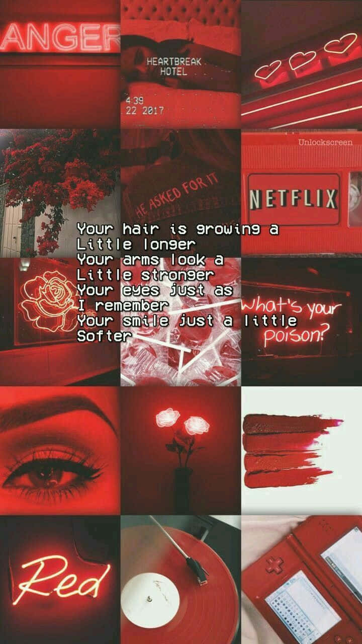 red-toned, neon signs, roses, HD Phone Wallpaper