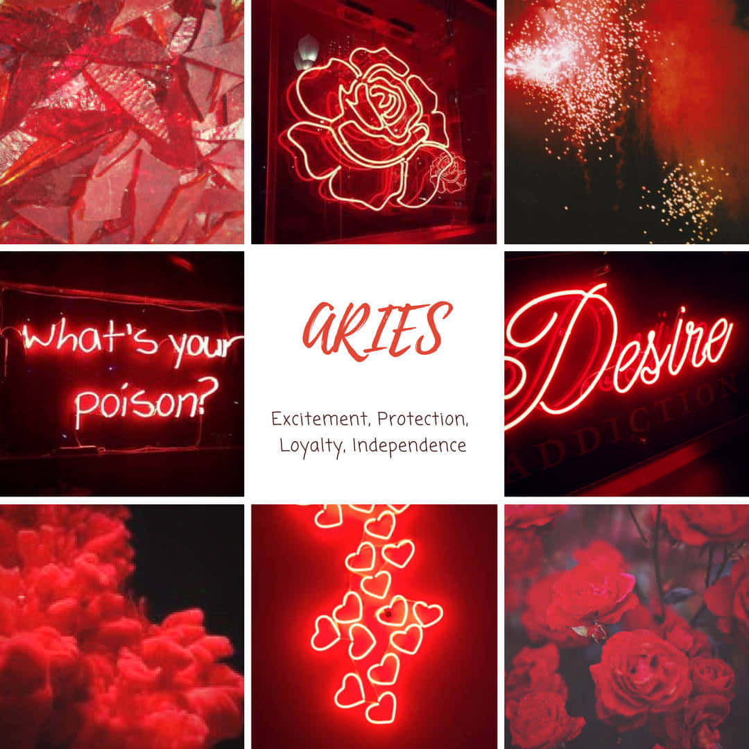 red neon collage, roses, hearts, SD Desktop Wallpaper