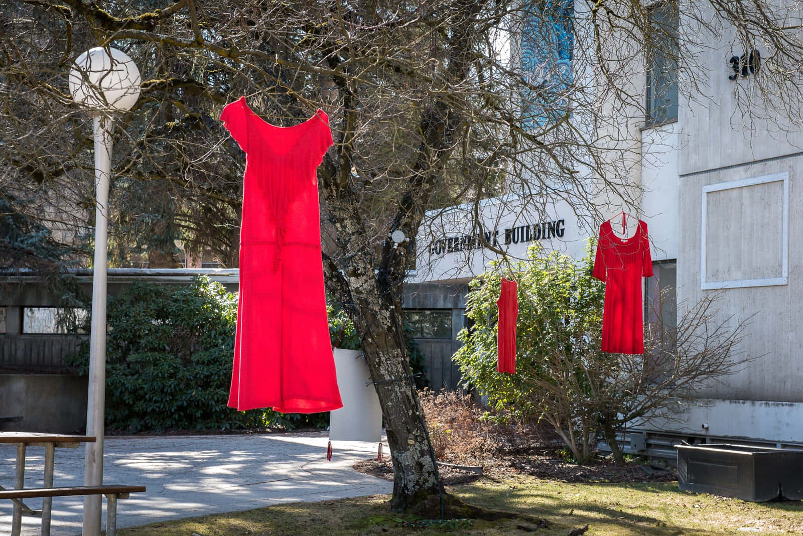 red dress, bare tree branches, sunlit courtyard, HD Desktop Wallpaper