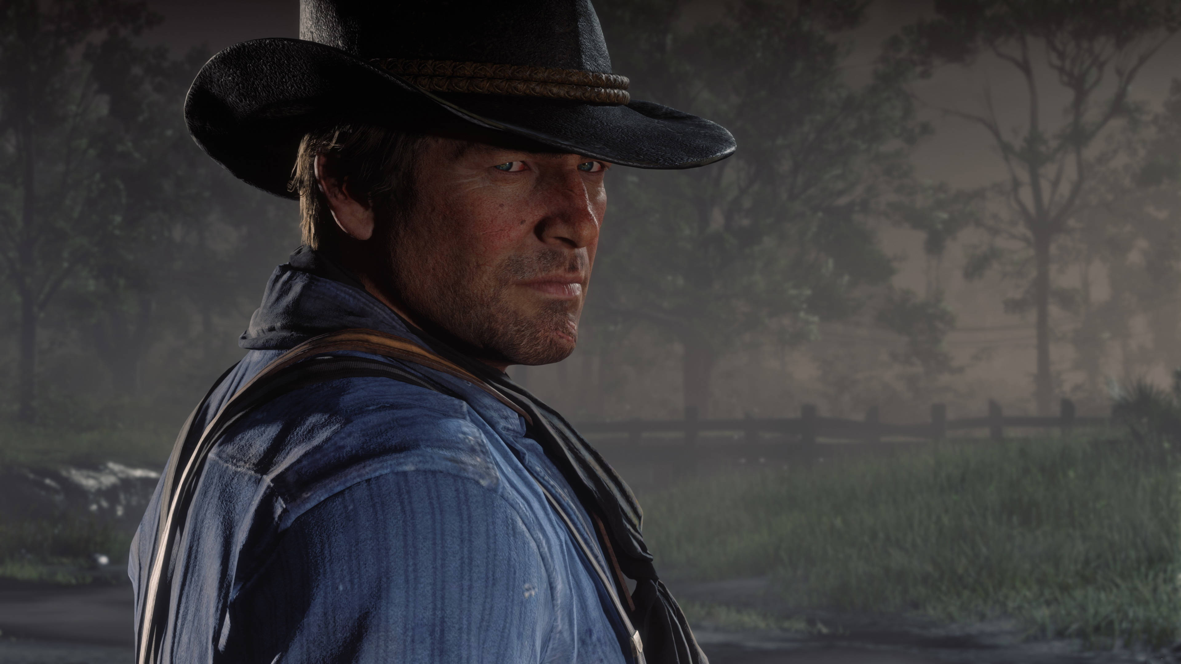 Red Dead Redemption 2, desktop, cowboy, 4K Desktop Wallpaper