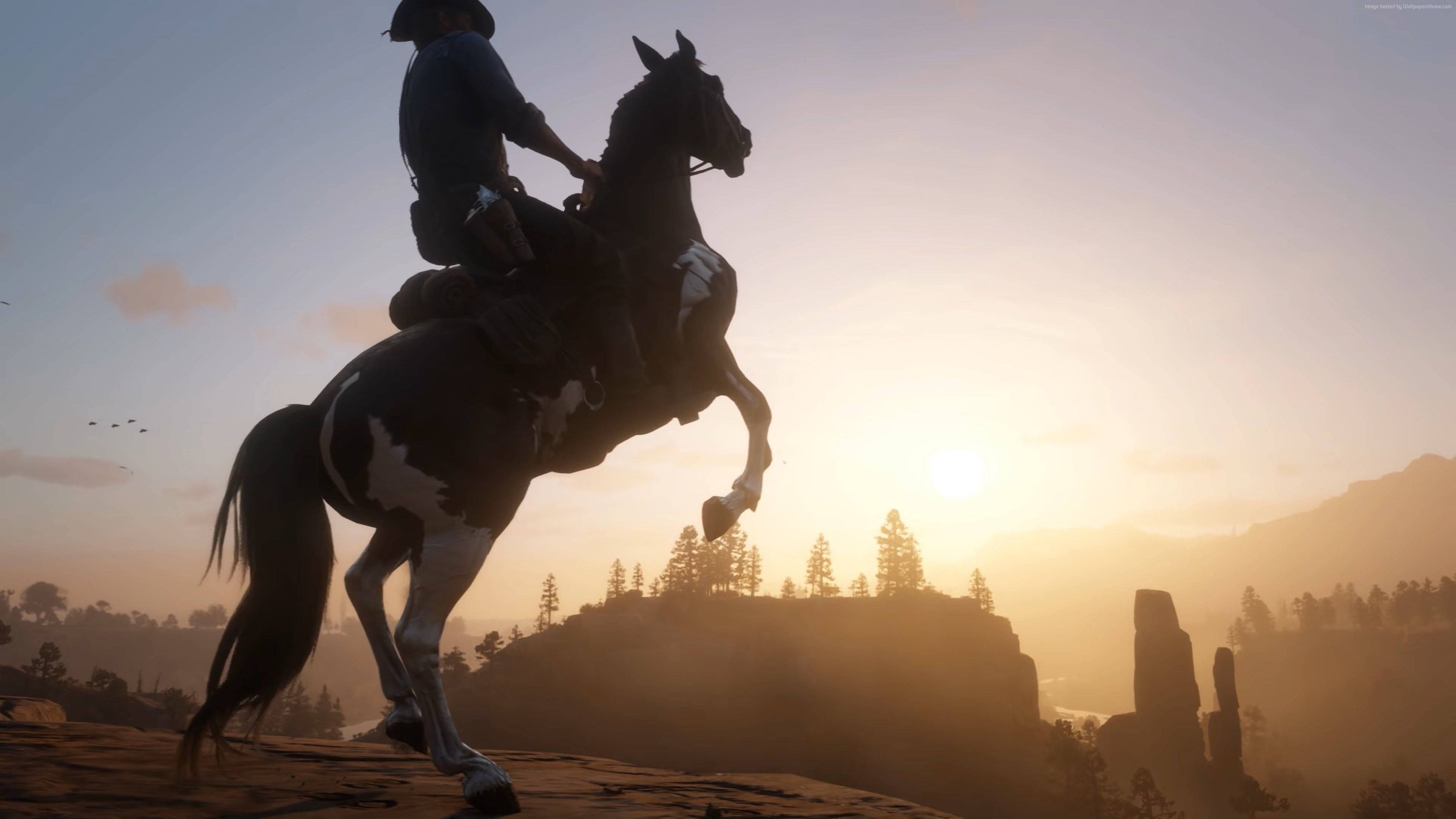 Red Dead Redemption 2, cowboy, black and white horse, 4K Desktop Wallpaper
