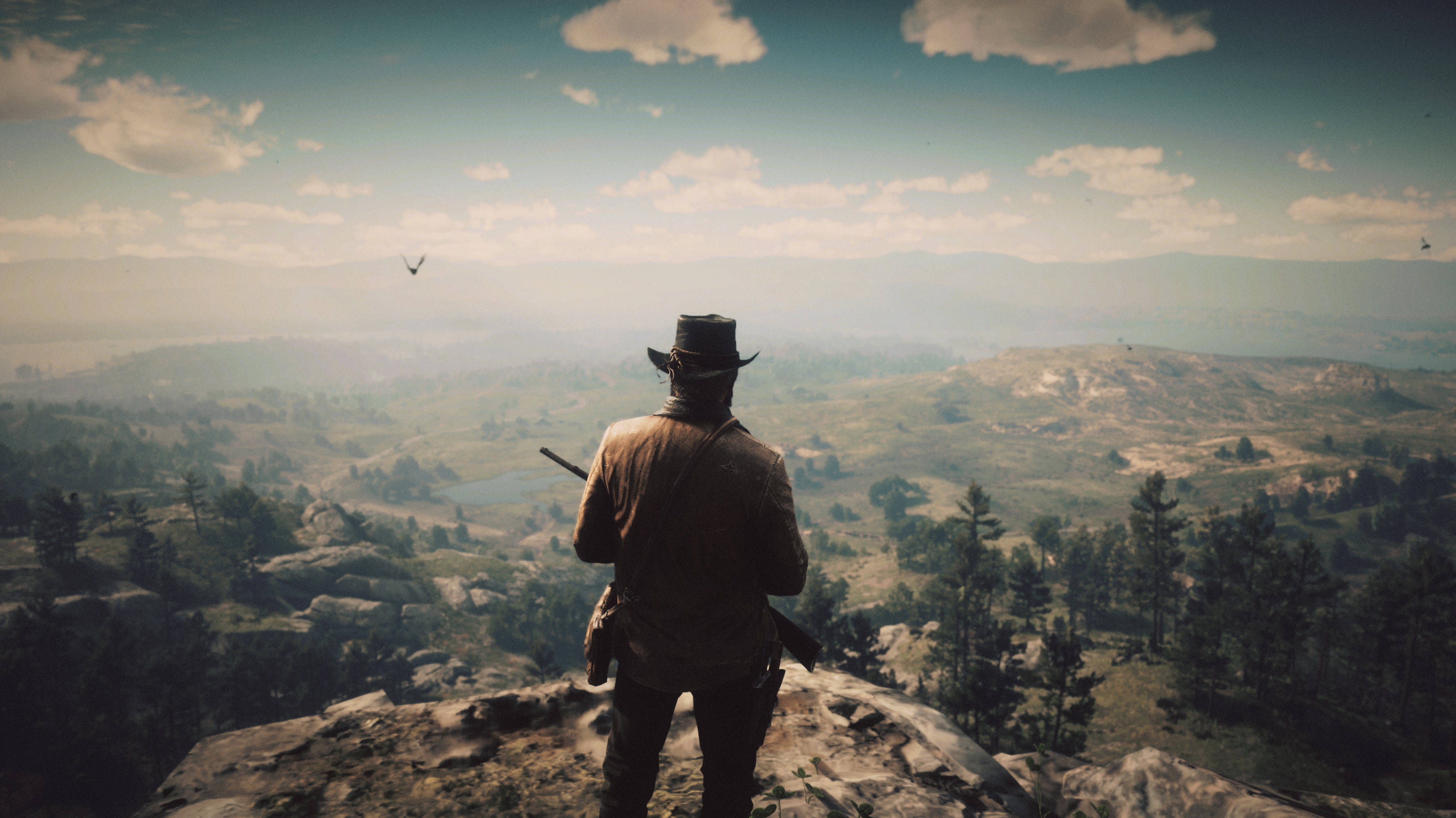 Red Dead Redemption 2, cowboy, hat, 2K Desktop Wallpaper