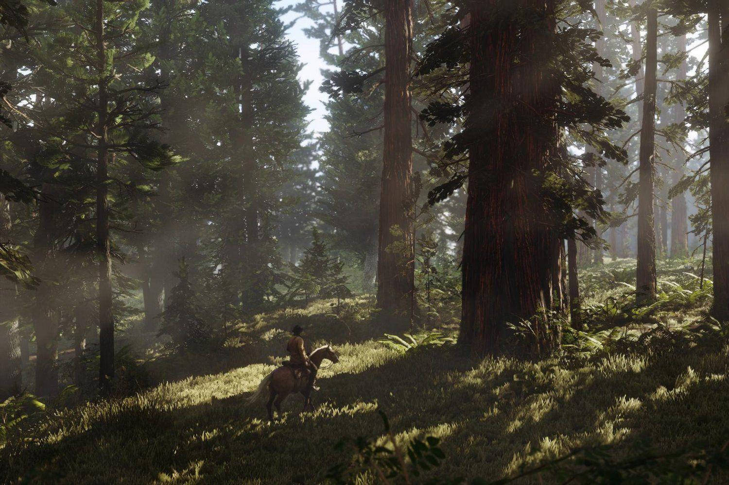 Red Dead Redemption 2, 4K, forest, HD Desktop Wallpaper