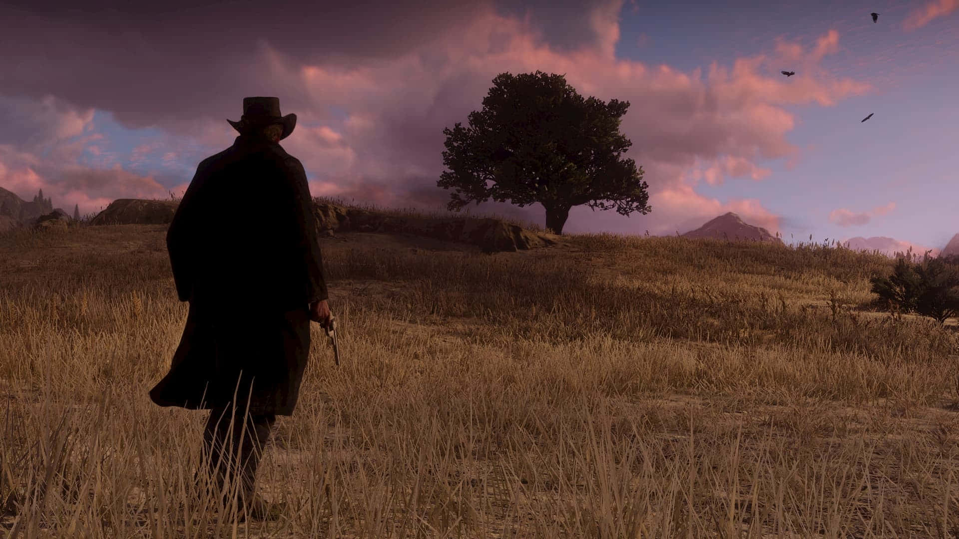 Red Dead Redemption 4K, cowboy, long coat, Full HD Desktop Wallpaper