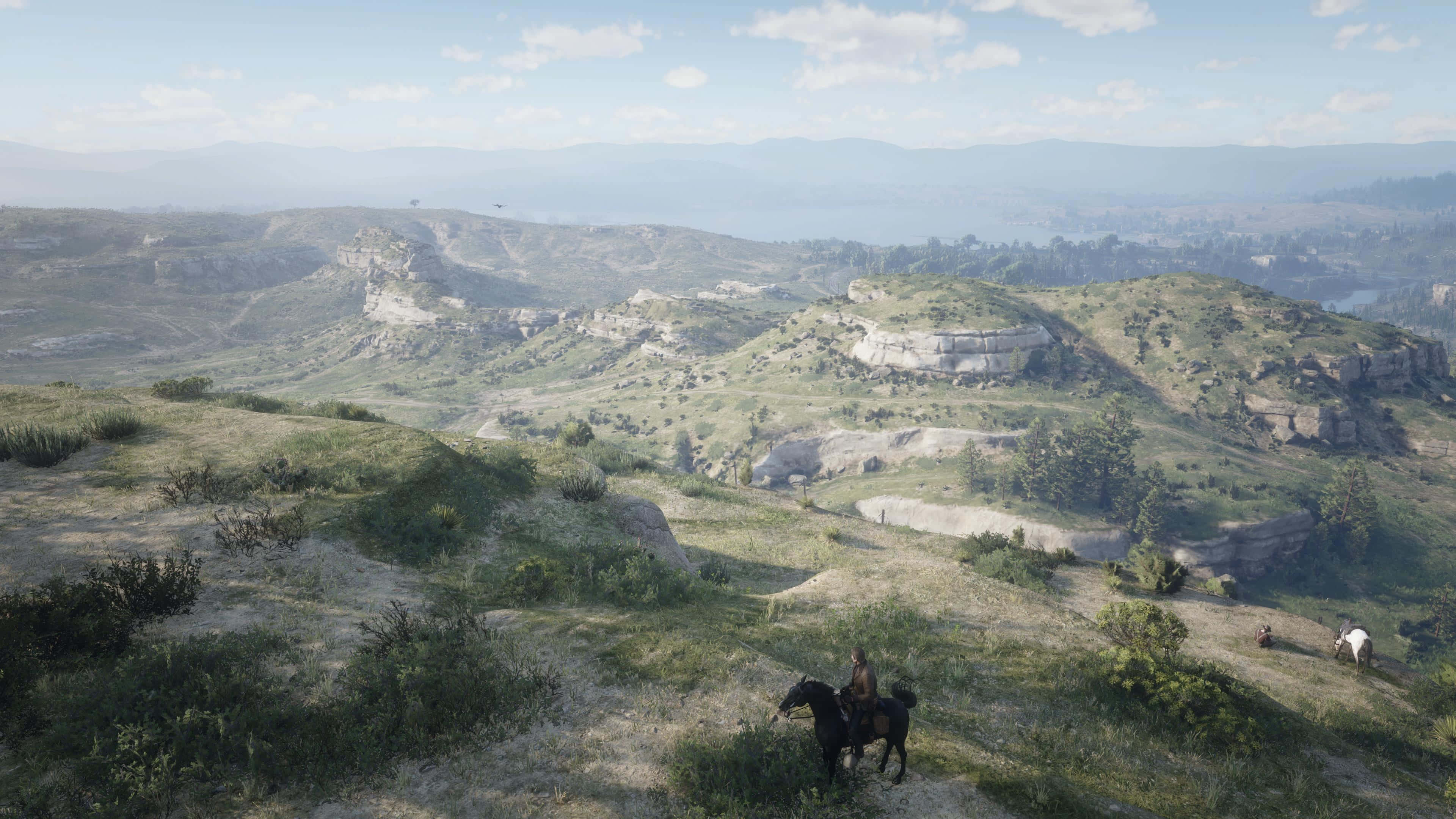 Red Dead Redemption 4K, hillside, lone rider, 4K Desktop Wallpaper