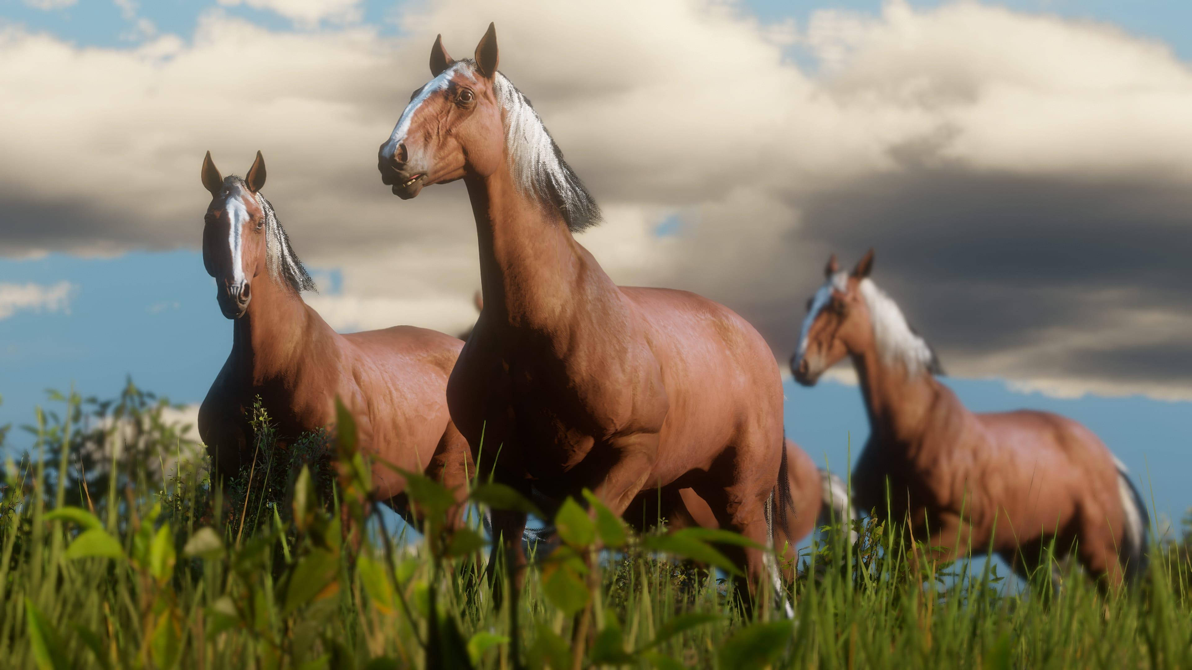 Red Dead Redemption 2, chestnut horses, white blazes, 4K Desktop Wallpaper