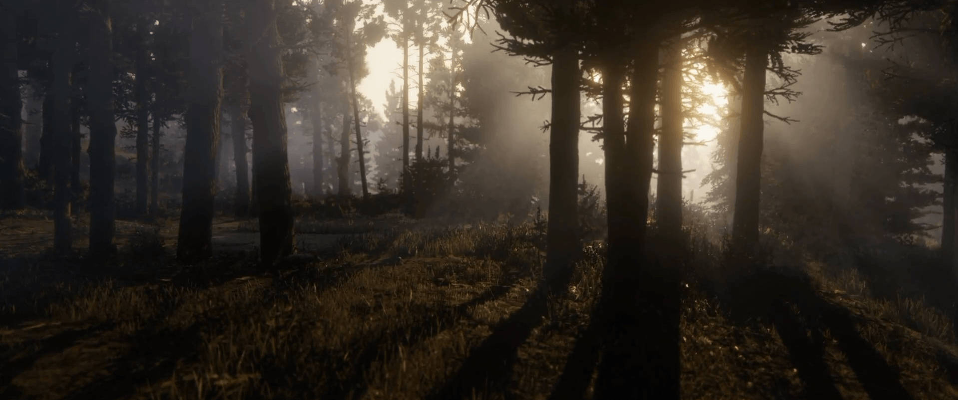 Red Dead Redemption 2, dawn, misty forest floor, HD Desktop Wallpaper