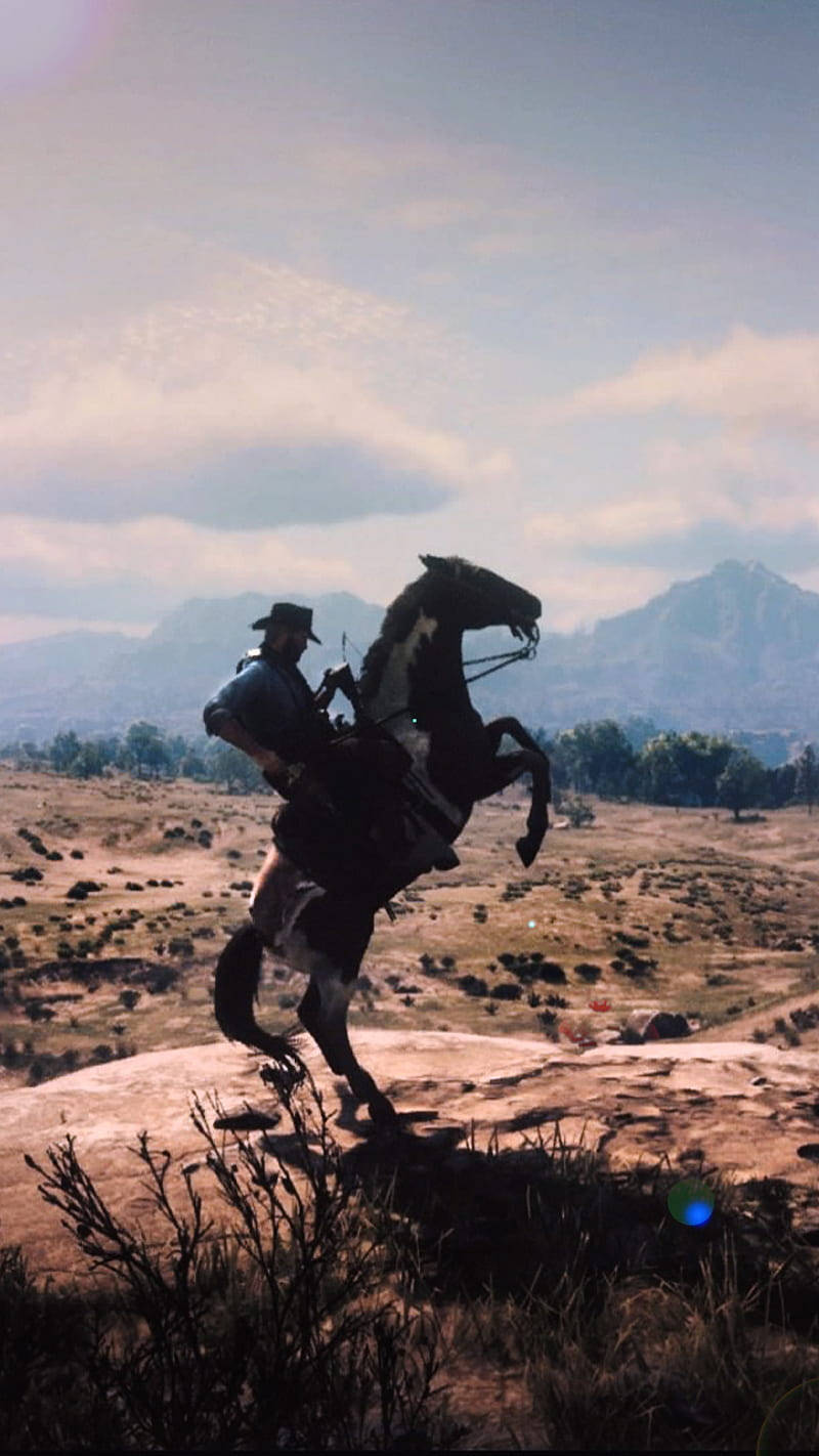 Red Dead Redemption II, cowboy, rearing horse, HD Phone Wallpaper