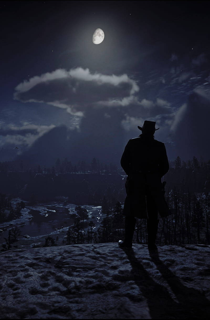 Red Dead Redemption II, nighttime, cowboy silhouette, SD Phone Wallpaper