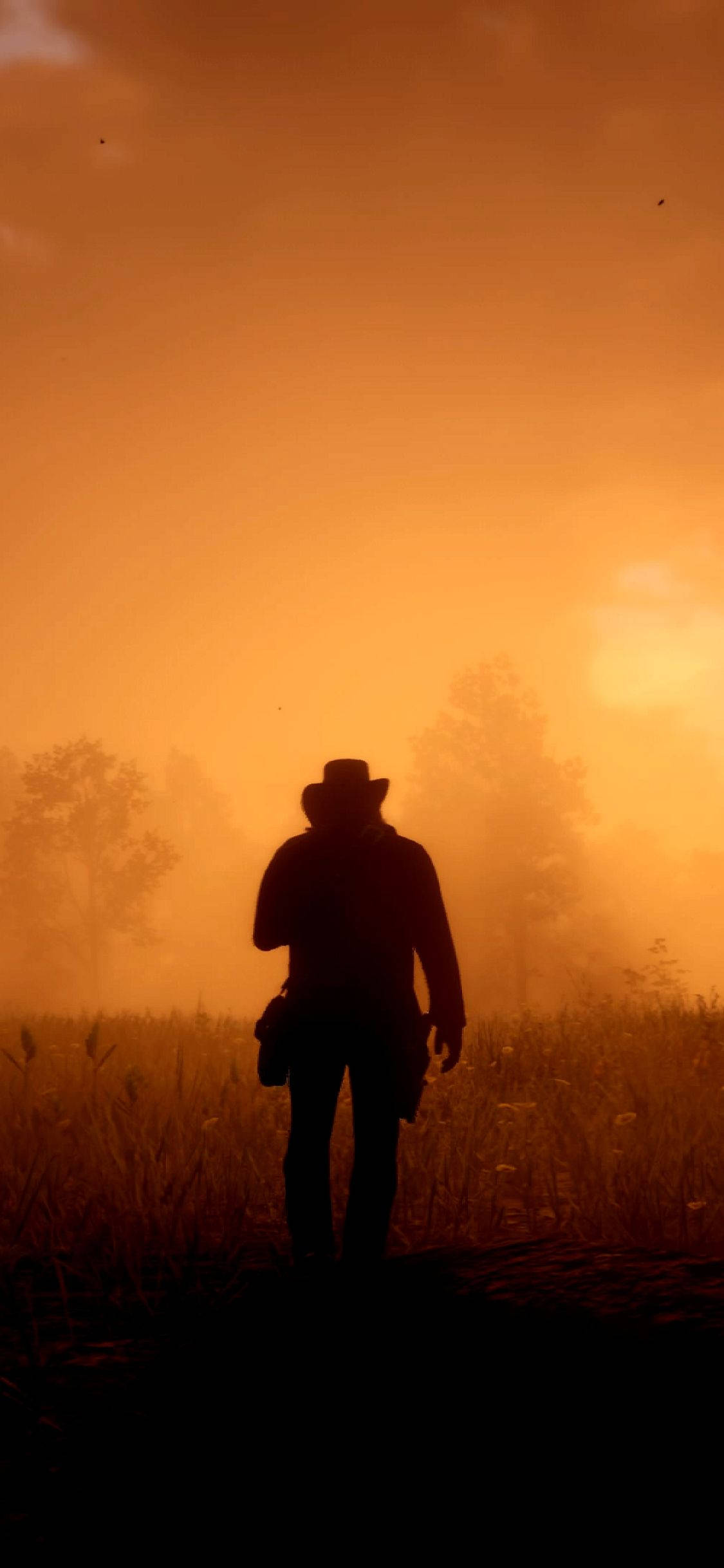 Red Dead, iPhone, sunset, Full HD Phone Wallpaper