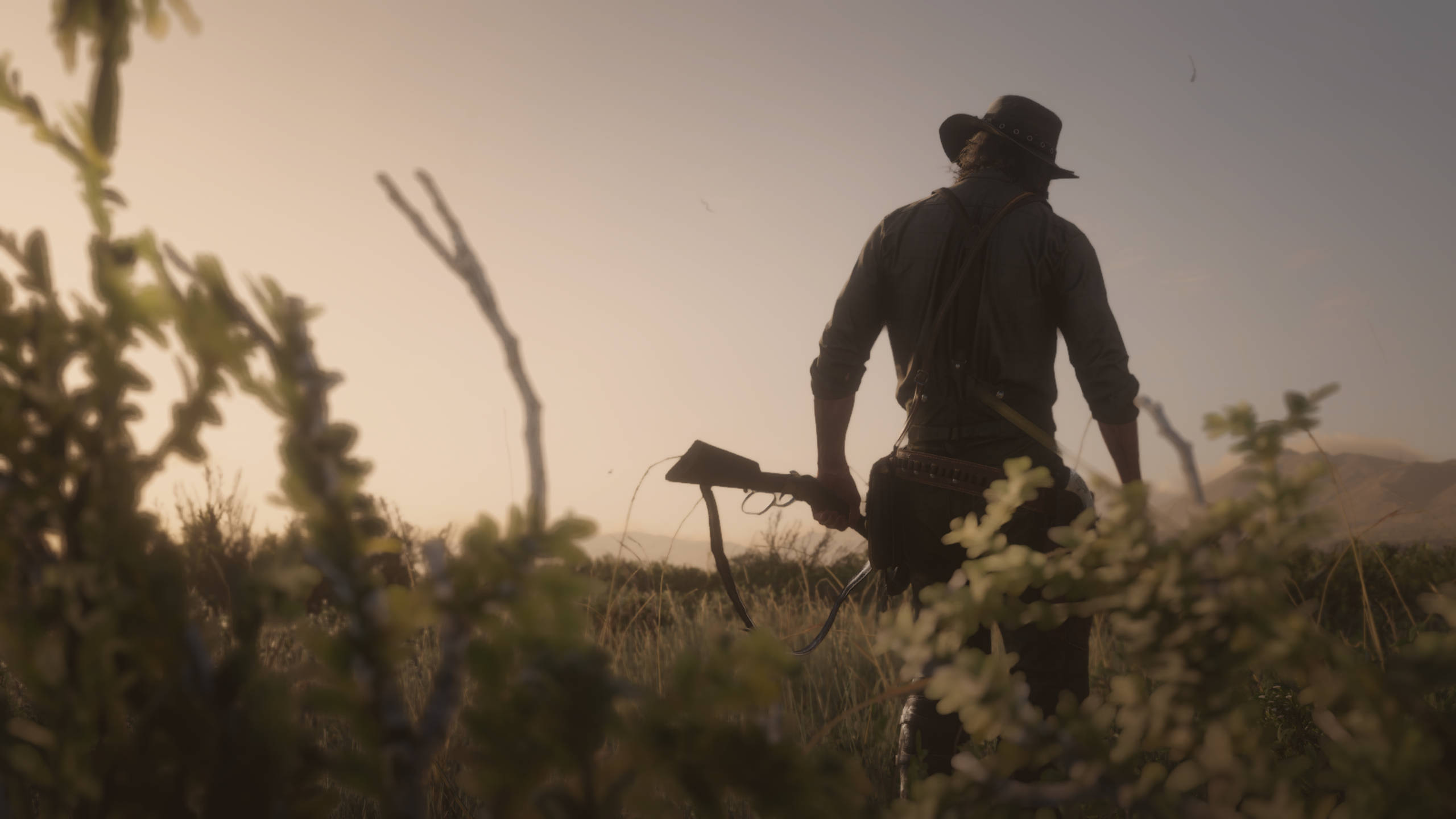 Red Dead Redemption 2, cowboy, wide-brimmed hat, 2K Desktop Wallpaper