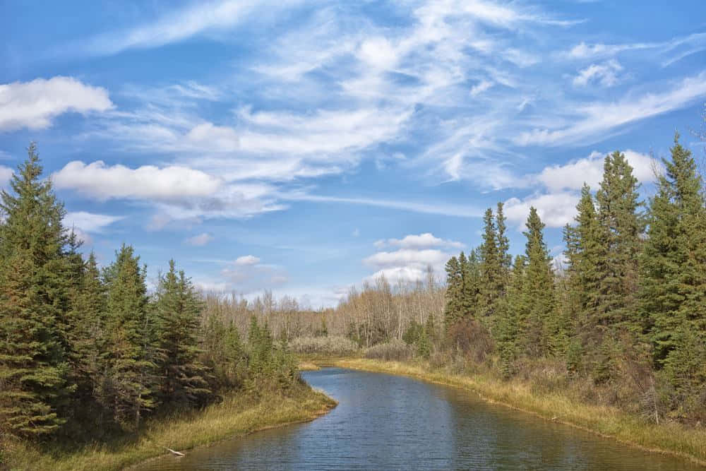Red Deer River, forested valley, bright blue sky, SD Desktop Wallpaper