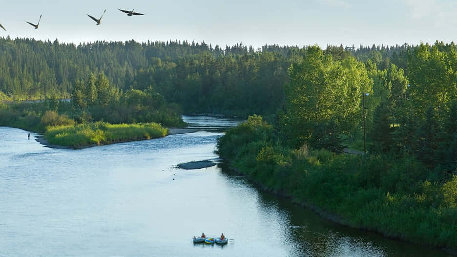 Red Deer, Canada, kayak, calm river, SD Desktop Wallpaper