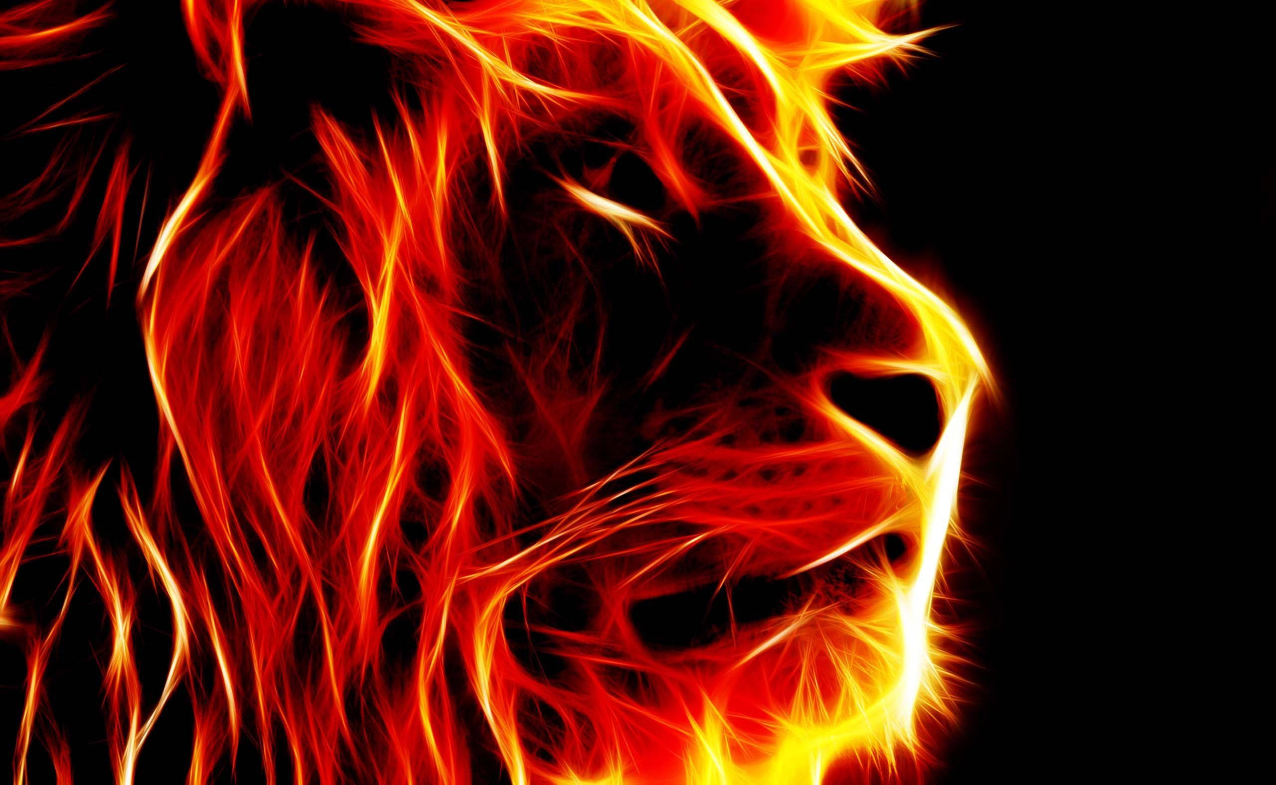 lion's head, flames, orange, 2K Desktop Wallpaper
