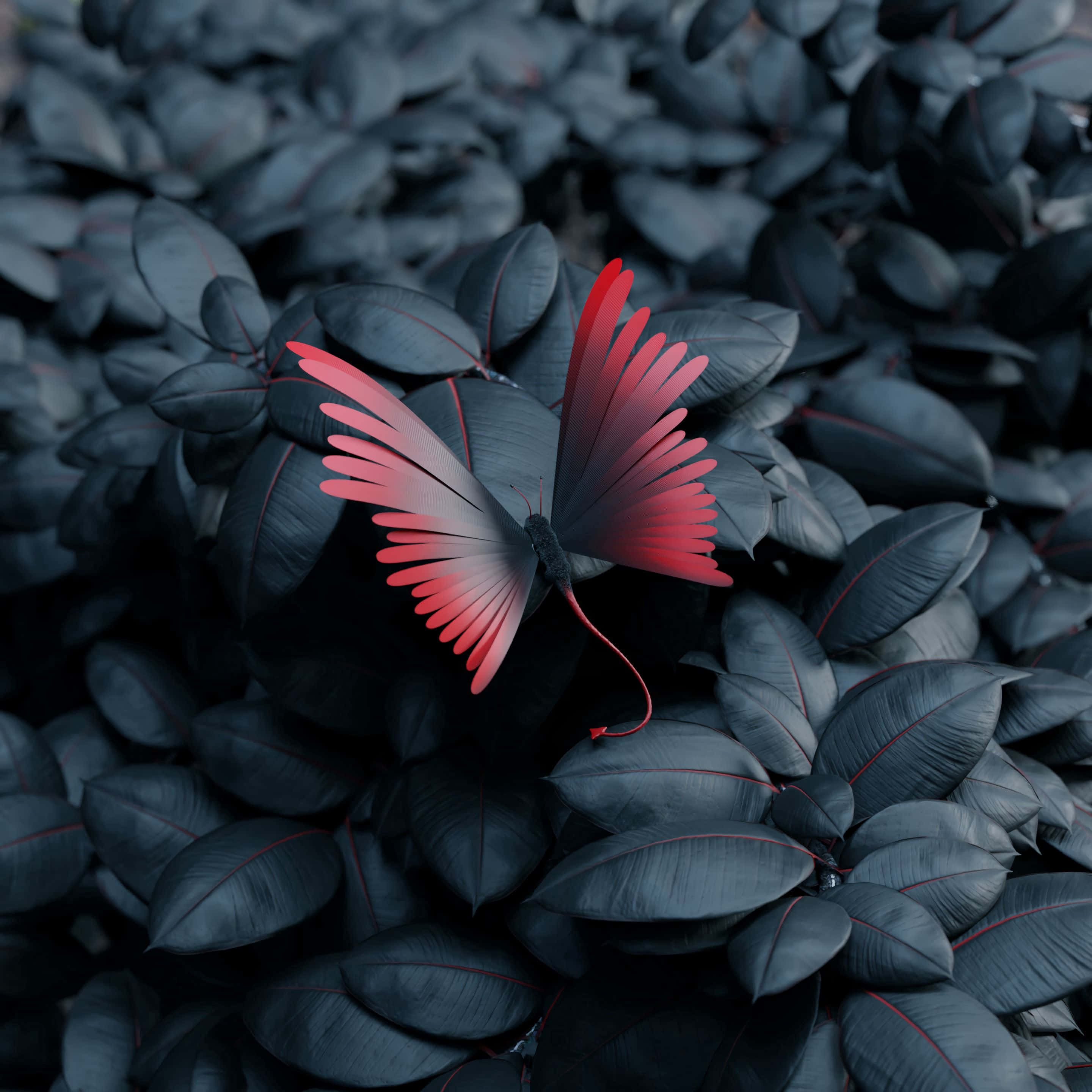 Complimentary Red, vibrant red butterfly, gradient wings, 2K Desktop Wallpaper