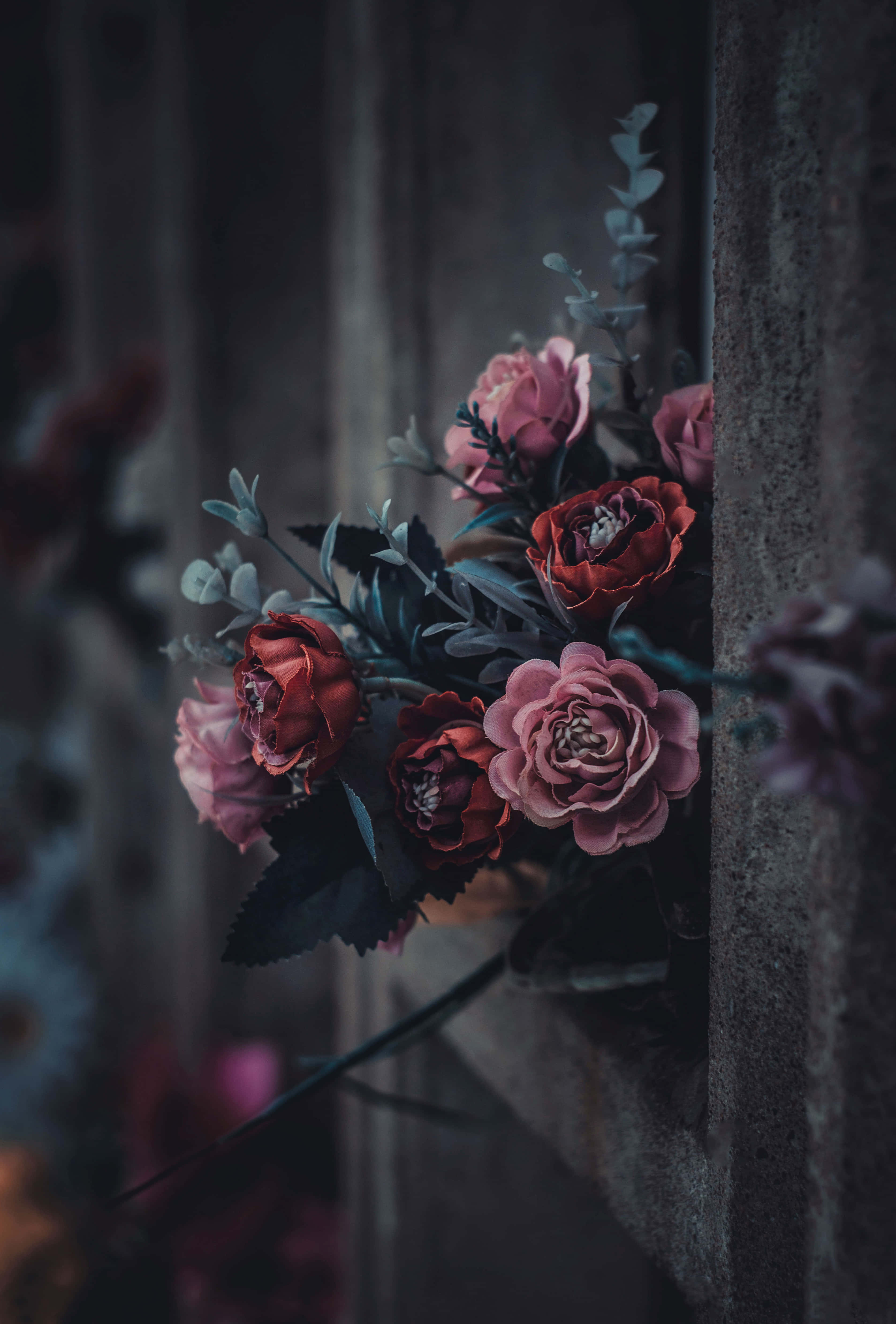 dark flower aesthetic, deep pink roses, red roses, 4K Phone Wallpaper