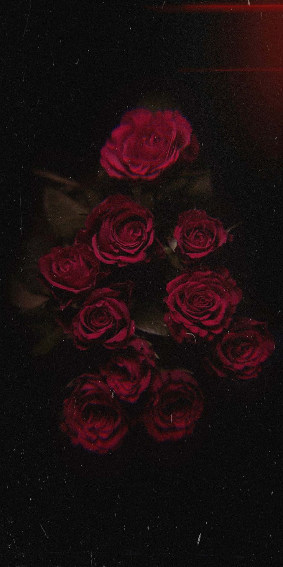 deep crimson roses, dark textured background, subtle red light streaks, Full HD Phone Wallpaper