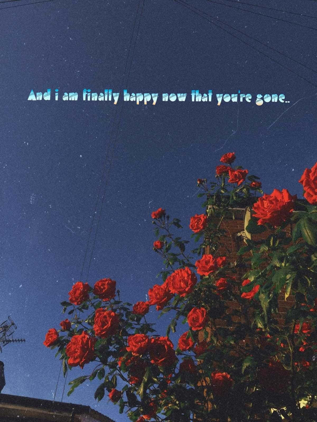 vibrant red roses, starry night sky, faint text overlay, HD Phone Wallpaper