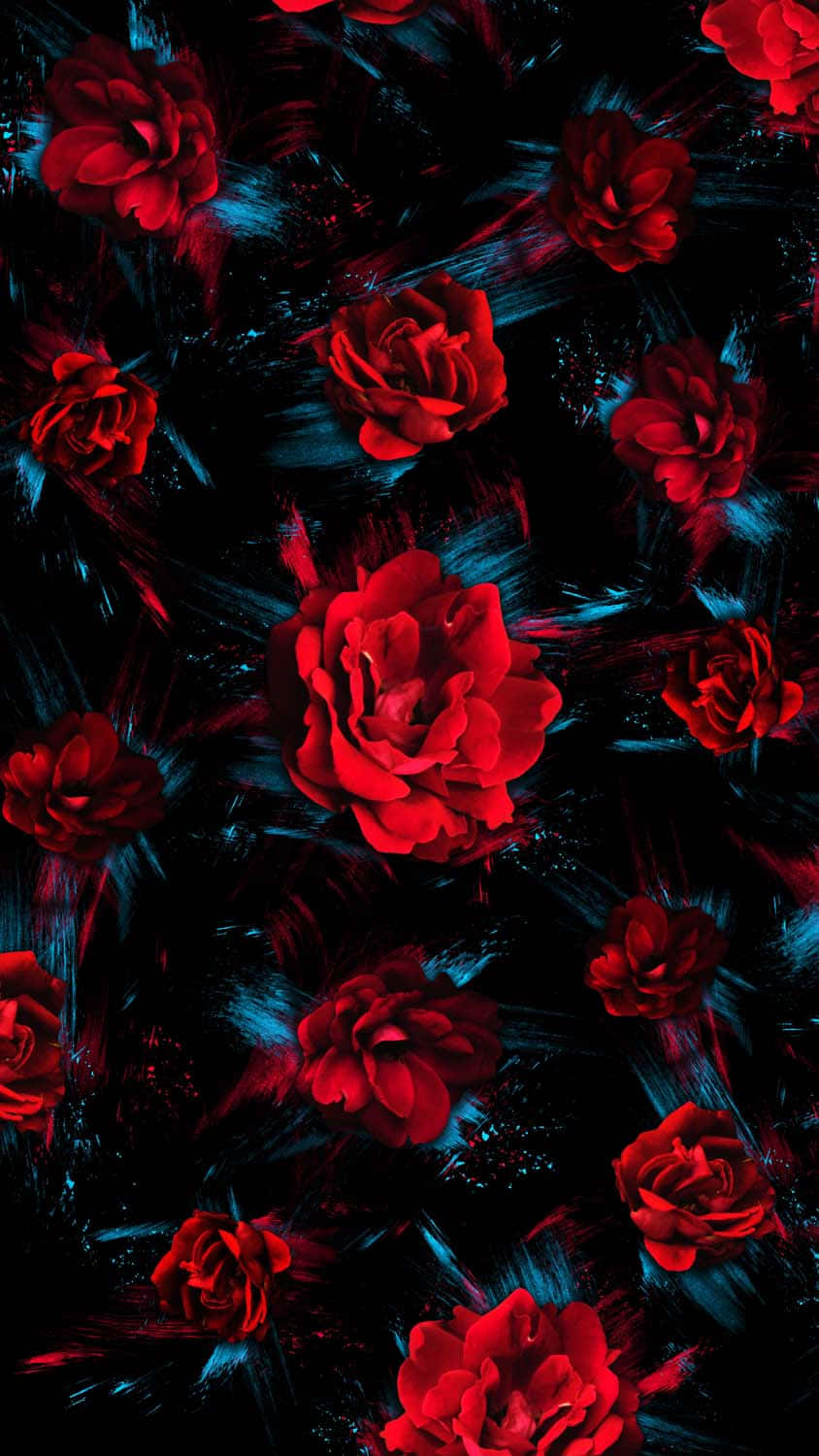 Red Flower Aesthetic, vibrant red roses, dark background, HD Phone Wallpaper