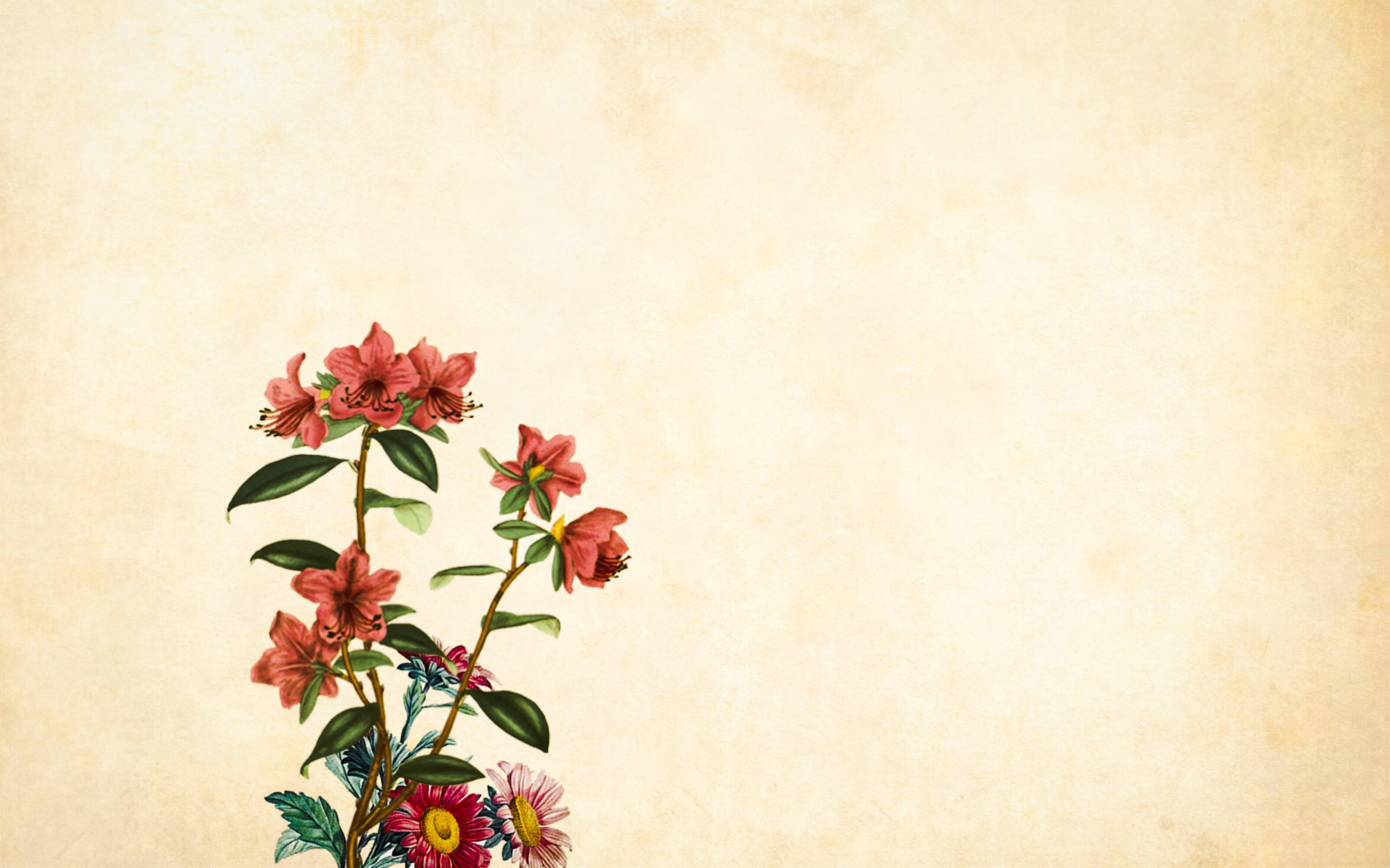 pink and red flowers, green leaves, textured beige parchment background, 2K Desktop Wallpaper