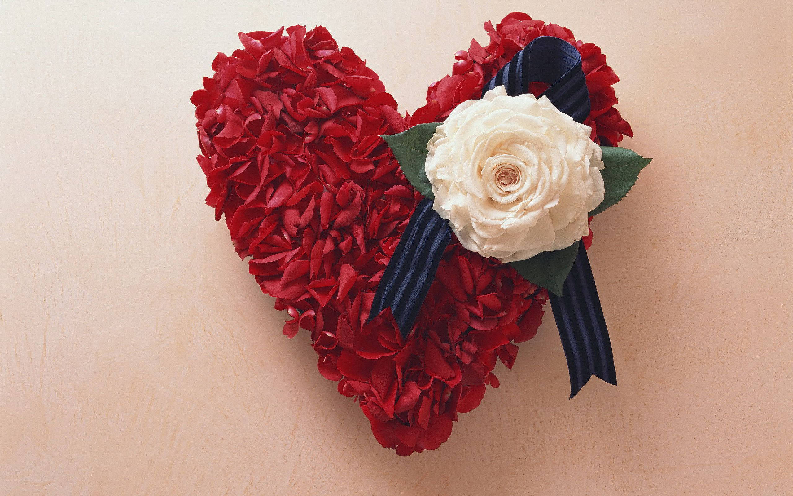 flower heart, red petals, white rose, 2K Desktop Wallpaper