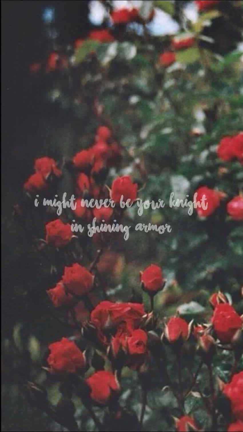 Red Flower Aesthetic, vibrant red roses, lush greenery, HD Phone Wallpaper